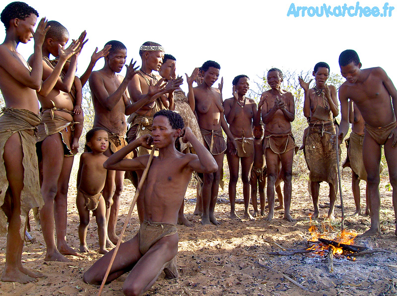 danse bushmen